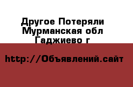 Другое Потеряли. Мурманская обл.,Гаджиево г.